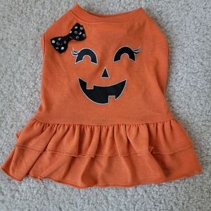 Halloween pumpkin costume for your pet